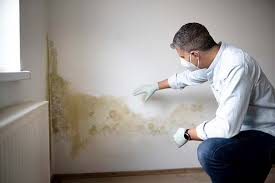 Best Post-Construction Mold Inspection in Durand, WI